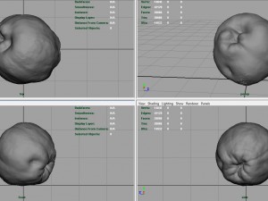 grapefruit 3D-Modell