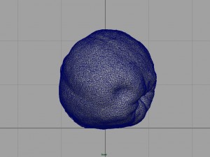 grapefruit 3D-Modell