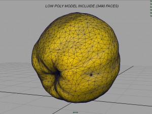 grapefruit 3D-Modell