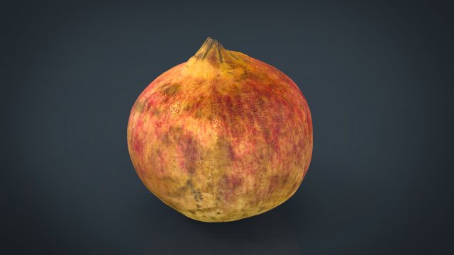 pomegranate Modèle 3D .c4d .max .obj .3ds .fbx .stl .blend 