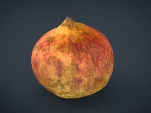 pomegranate Modelo 3D