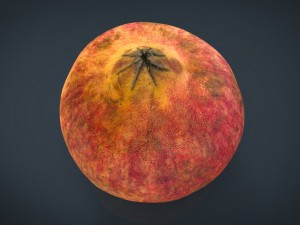 pomegranate Modèle 3D