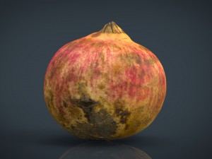 pomegranate Modèle 3D