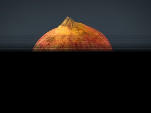 pomegranate Modèle 3D