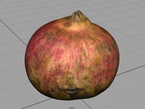 pomegranate Modèle 3D