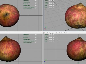 pomegranate Modèle 3D