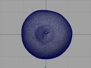 pomegranate Modèle 3D