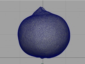 pomegranate Modèle 3D