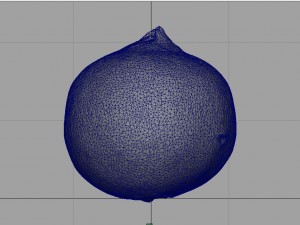 pomegranate Modèle 3D