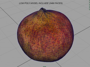 pomegranate Modèle 3D