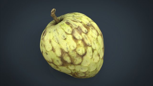 custard apple Modèle 3D .c4d .max .obj .3ds .fbx .stl .blend 