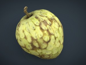 custard apple 3D Model