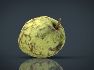 custard apple Modèle 3D