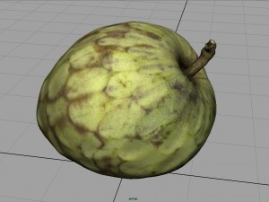 custard apple Modèle 3D