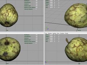 custard apple Modèle 3D