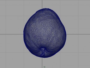 custard apple Modèle 3D
