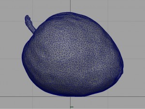 custard apple Modèle 3D