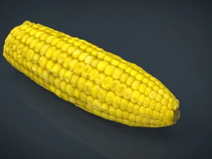 ma&iacute;z Modelo 3D