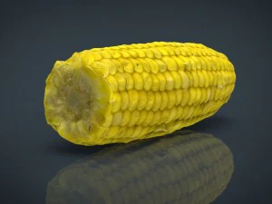 ma&iacute;z Modelo 3D