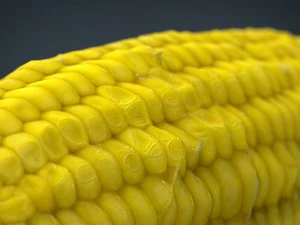 ma&iacute;z Modelo 3D