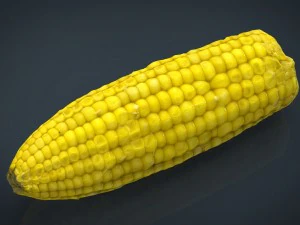 ma&iacute;z Modelo 3D