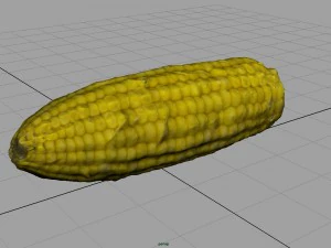 ma&iacute;z Modelo 3D