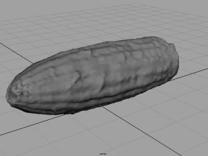 ma&iacute;z Modelo 3D