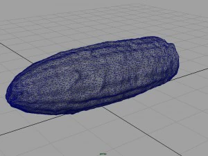 ma&iacute;z Modelo 3D