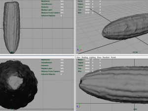 ma&iacute;z Modelo 3D