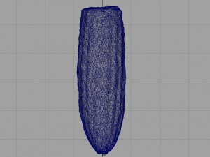 corn 3D Модель
