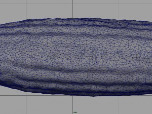 corn 3D Модель