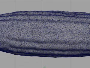 ma&iacute;z Modelo 3D