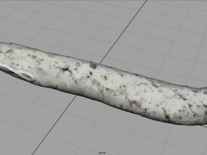 fuet 3D Model