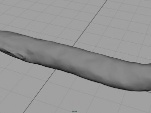 fuet 3D Model