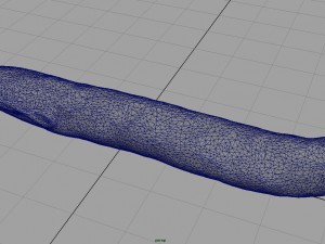 fuet 3D Model