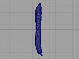 fuet 3D Model