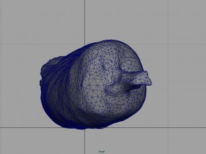 fuet 3D Model