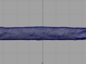 fuet 3D Model