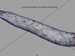 fuet 3D Model