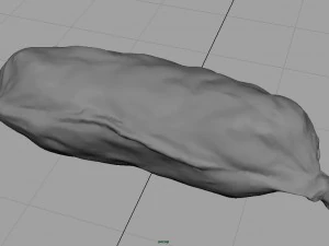 sausage salami 1 3D Model