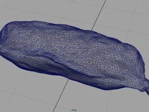 sausage salami 1 3D Model