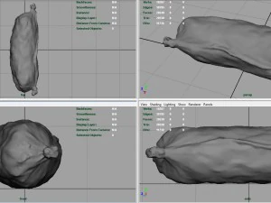 sausage salami 1 3D Model