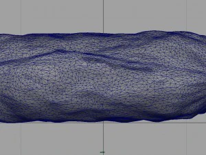 sausage salami 1 3D Model