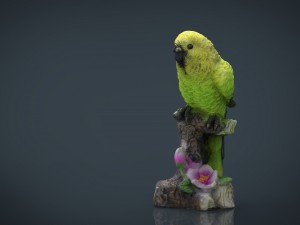 green parrot 3D Model