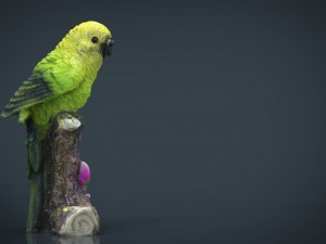 green parrot 3D मॉडल