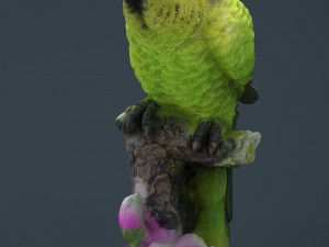 green parrot 3D मॉडल