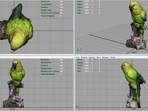 green parrot 3D मॉडल