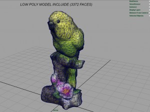 green parrot 3D मॉडल