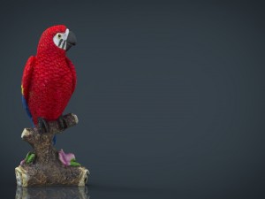 red parrot Modelo 3D