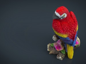 red parrot Modelo 3D